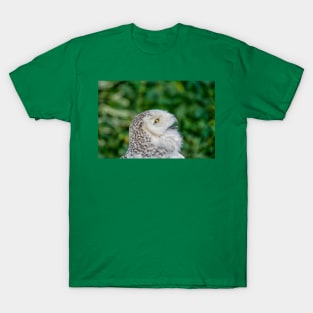 Head of snowy owl T-Shirt